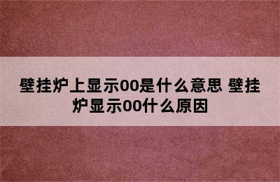 壁挂炉上显示00是什么意思 壁挂炉显示00什么原因